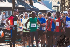 Parelrun2016-3013