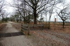 cartierheide